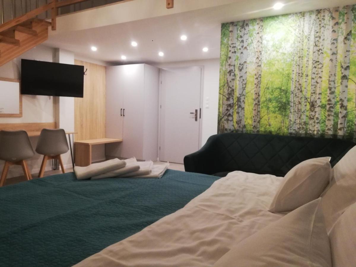 Bed and Breakfast U Zrodel Висла Экстерьер фото